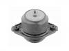 Soporte del motor Engine Mount:251 240 31 17