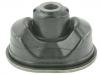 Strut Mount:31277888